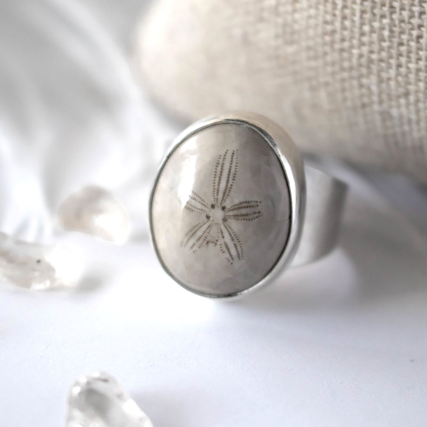 Sterling Silver Fossil Sand Dollar Ring-Womens-LittleGreenRoomJewelry-LittleGreenRoomJewelry